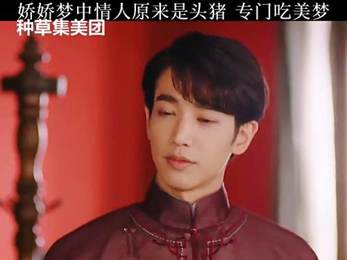 娇娇的梦中情人居然是只猪，专门吃美梦 十二谭