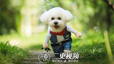 记录时光中的它, 留住它最美好的瞬间