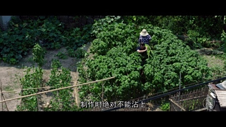 二更丨这样的”恶趣味“料理，让人又爱又恨！