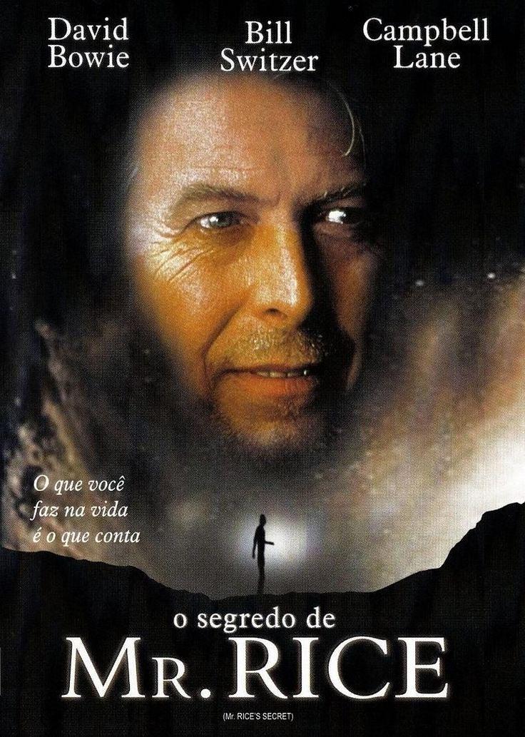 莱斯先生的秘密