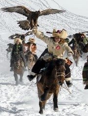 隐秘中国美丽乡村 第2部