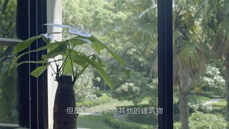 实拍最具科技感豪宅 屋顶农场堪比热带雨林！