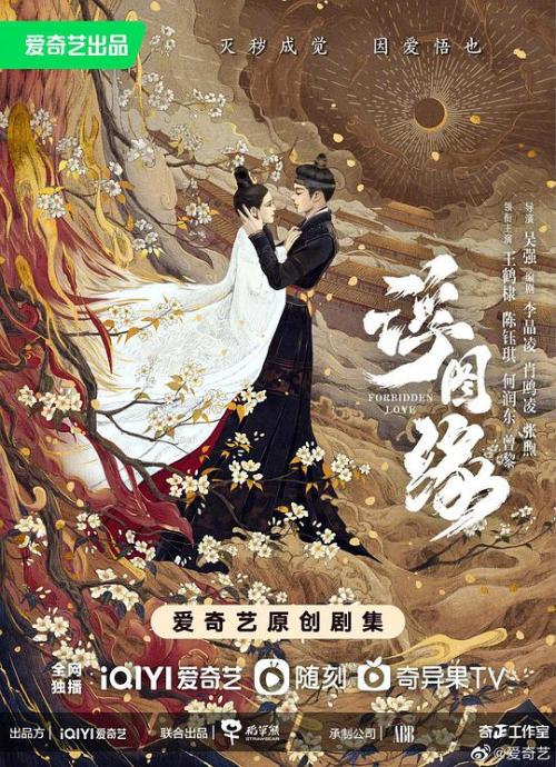 浮图缘免费观看