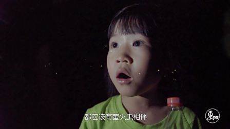 更成都 |  森林向你眨眼睛，这个夏天，萤火虫唱歌给你听！