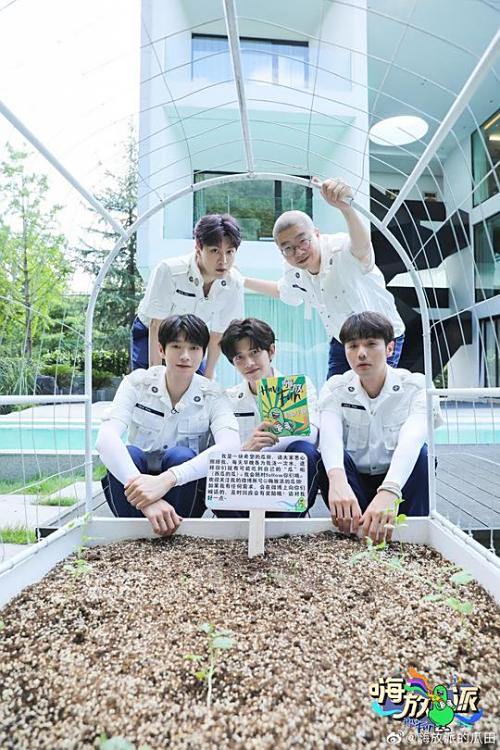 嗨放派免费观看