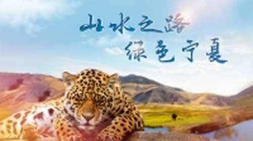 从一片荒凉到塞上明珠，六盘山上究竟发生了什么？