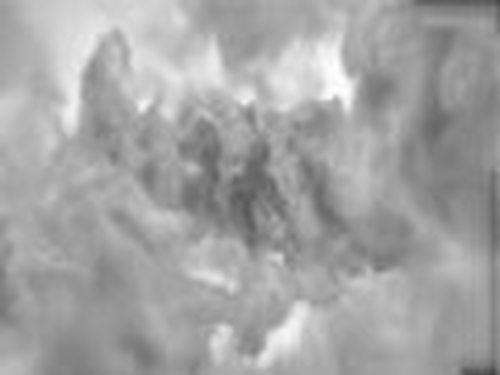 今天我们来探索，千年古墓的秘密！