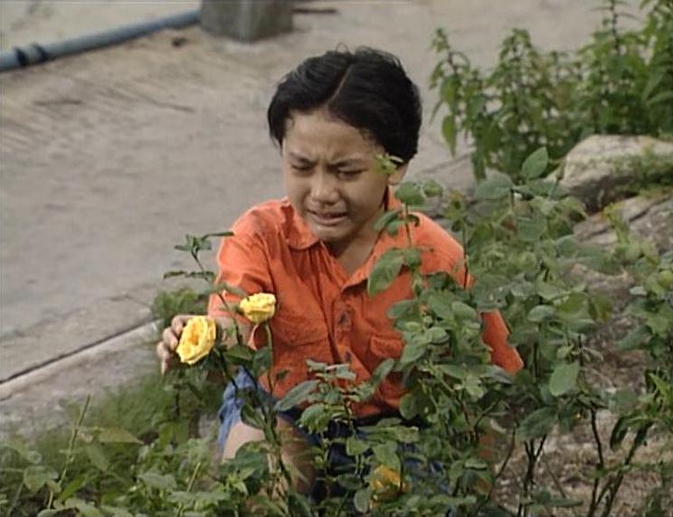 不一样的天空 香港版