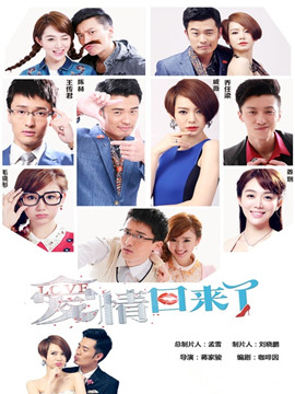 爱情回来了 DVD版