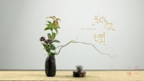 插花，一件富有仪式感的事情