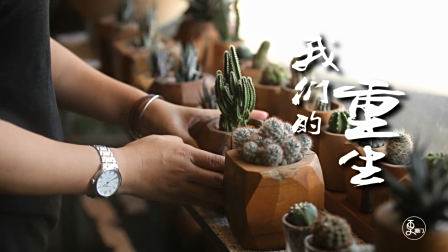 人只有一生，但可以活不止一次
