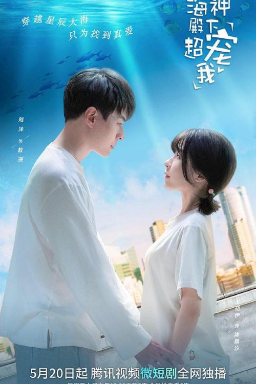 海神殿下超宠我免费观看