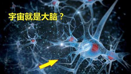 宇宙竟然是大脑? 这种新说法, 让很多人都慌了!