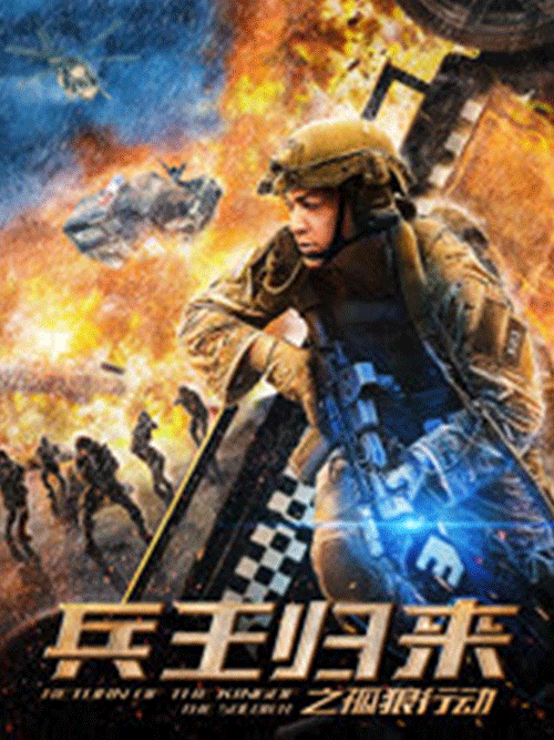 兵王归来(孤狼行动)