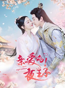 亲爱的夜王子免费观看