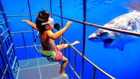 孩子被装进笼子沉入海底看鲨鱼，意想不到的事发生，镜头记录全程