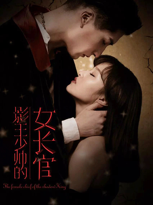 影王少帅的女长官