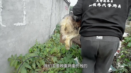 更成都 | 他用善意挽救了数千条生命