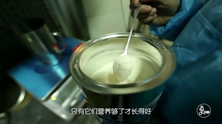 更成都 | 这是份会被萌爆了的工作