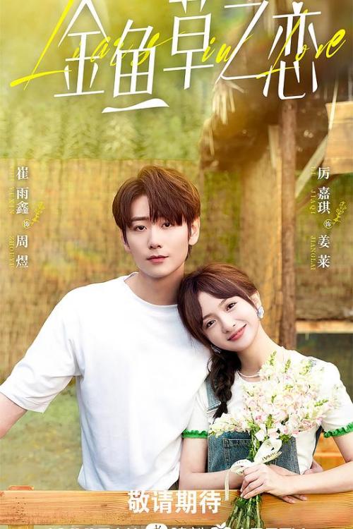 无法抗拒的谎言 普通话