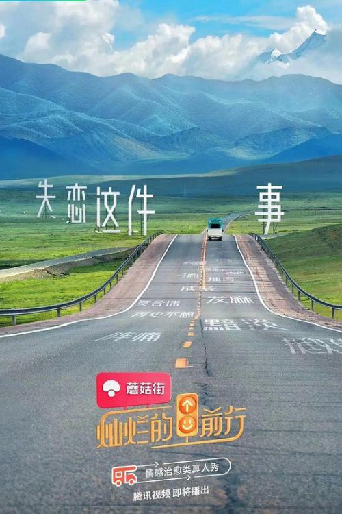 灿烂的前行免费观看