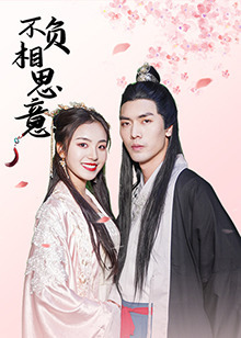 不负相思意免费观看