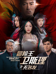 冒险王卫斯理 无名发