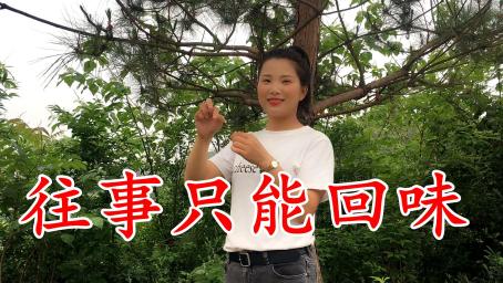 一首《往事只能回味》民谣歌曲,美女唱出了自己的味道,好听至极