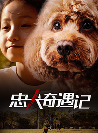 忠犬奇遇记免费观看
