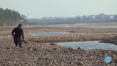 农村大爷在浙江为天鹅造了一个家，1200亩！美到惊动中央电视台