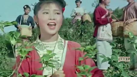 老电影《刘三姐》经典山歌，刘三姐带领姐妹们唱采茶歌，太好听了