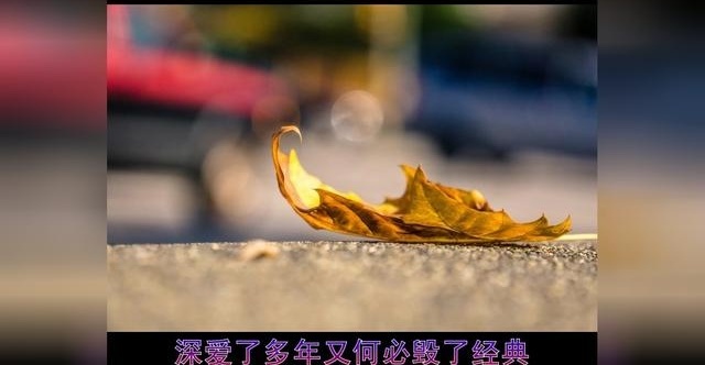 《体面》电影《前任3：再见前任》插曲