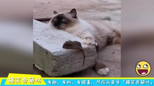 来自灵魂的颤抖~