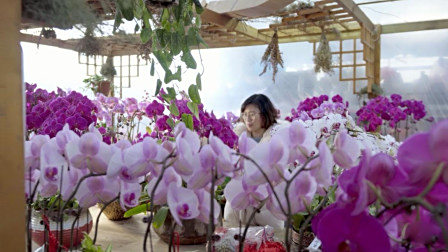 她放弃了年薪20万的人事经理工作，建立起一个世外桃园般的苗圃