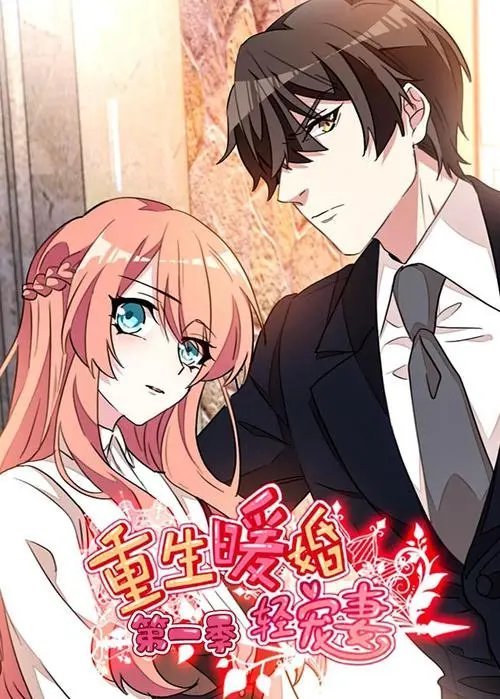 重生暖婚轻宠妻第1季免费观看