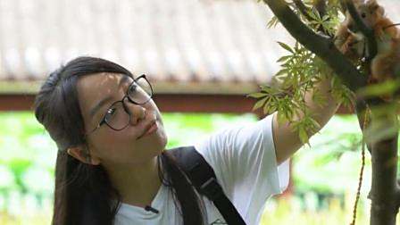 “松鼠妈妈”的育“儿”经, 还没看过的你可别后悔啦!