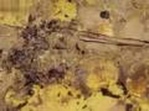 历史上陵园最奢华的皇帝，是哪一位呢？