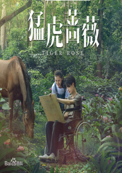 猛虎蔷薇免费观看