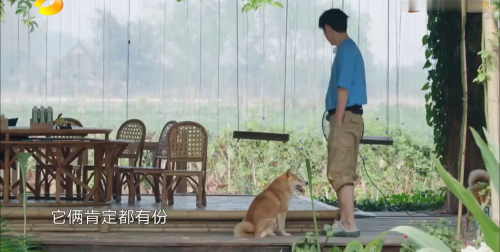 向往的生活4 第3期看点：何炅调教小H和小O