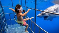 5岁小孩体验和鲨鱼近距离接触，不料意外发生了，镜头拍下全过程