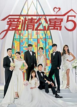 爱情公寓 第5部