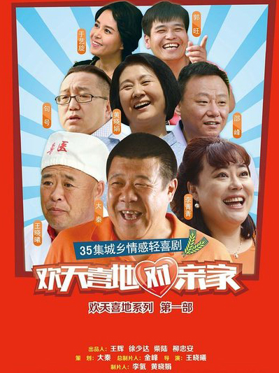 欢天喜地对亲家 DVD版