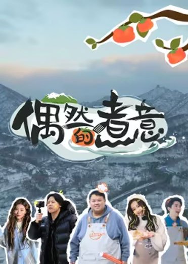 偶然的煮意免费观看