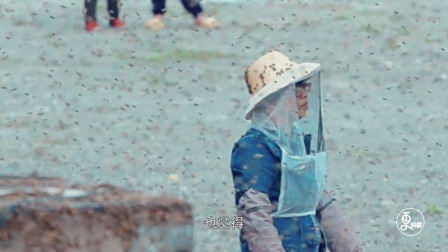 更成都 | 最甜蜜夫妻，他们走过360个蜜月