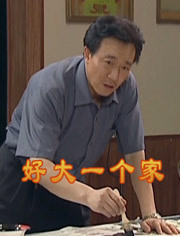 好大一个家