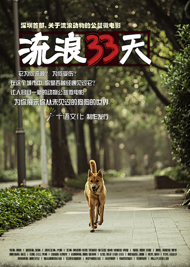 流浪33天