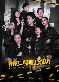 仙女特攻队
