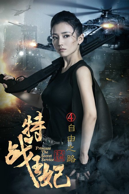特战王妃4(自由之路)-电影-高清在线观看-百搜视频