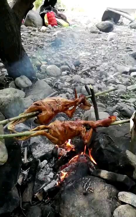 原始社会的烤鸡