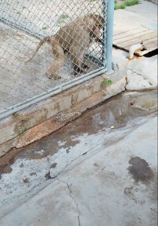 02"1702€0704030304‰020605021706